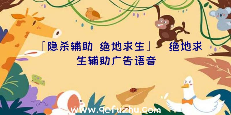 「隐杀辅助